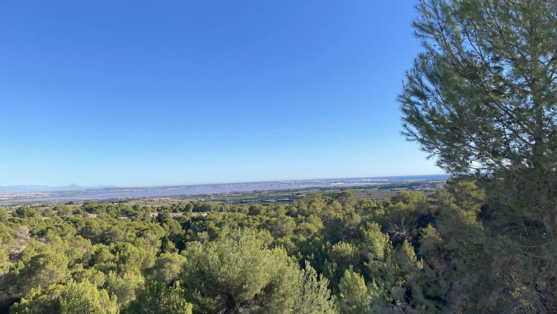 Venta - Chalet - Orihuela - Dehesa de Campoamor