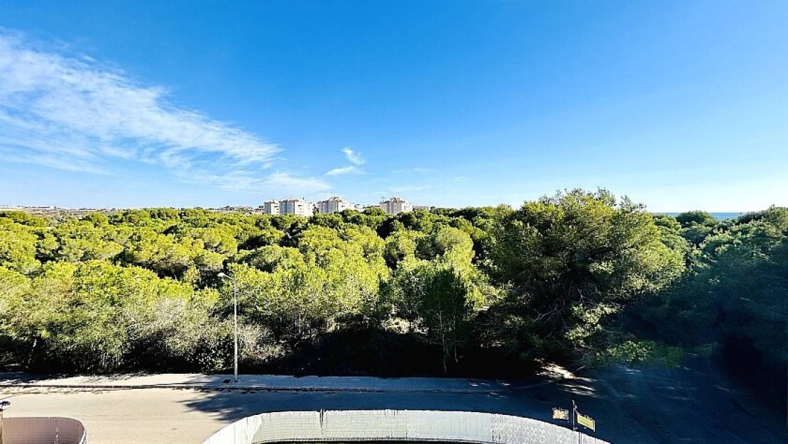 Venta - Chalet - Orihuela - Dehesa de Campoamor