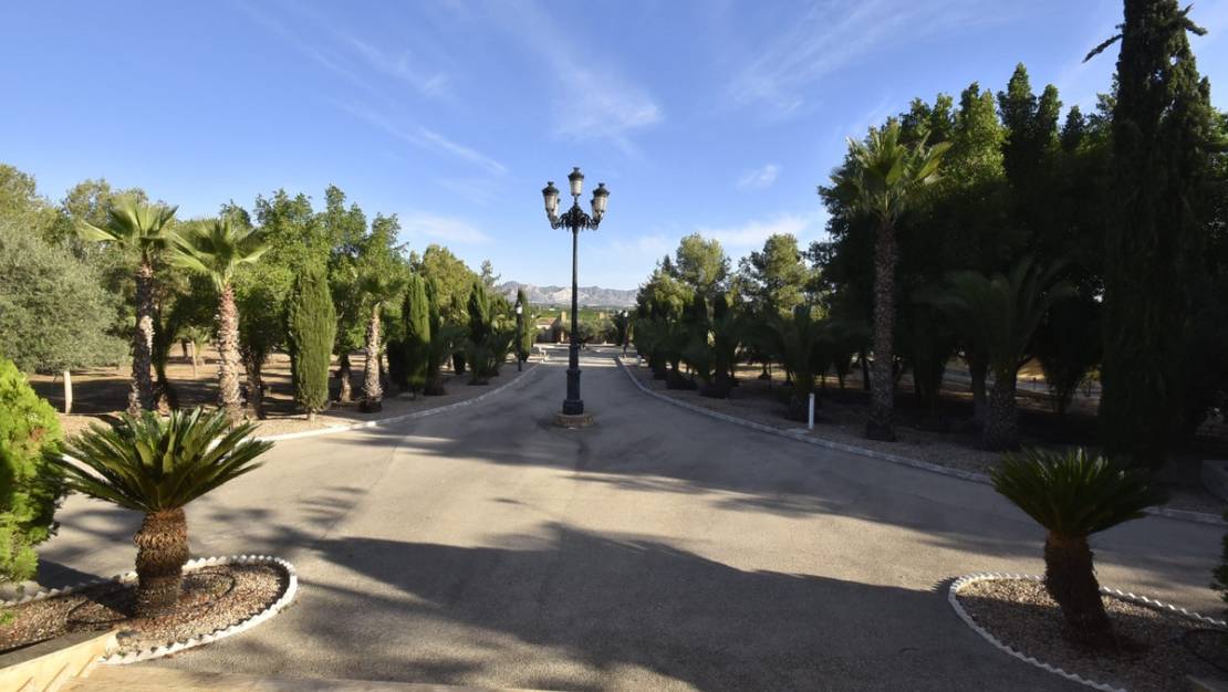 Venta - Chalet - Orihuela - La Matanza