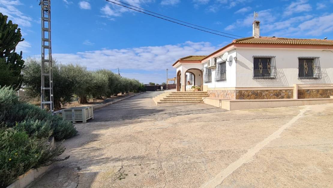 Venta - Chalet - Orihuela - La Matanza