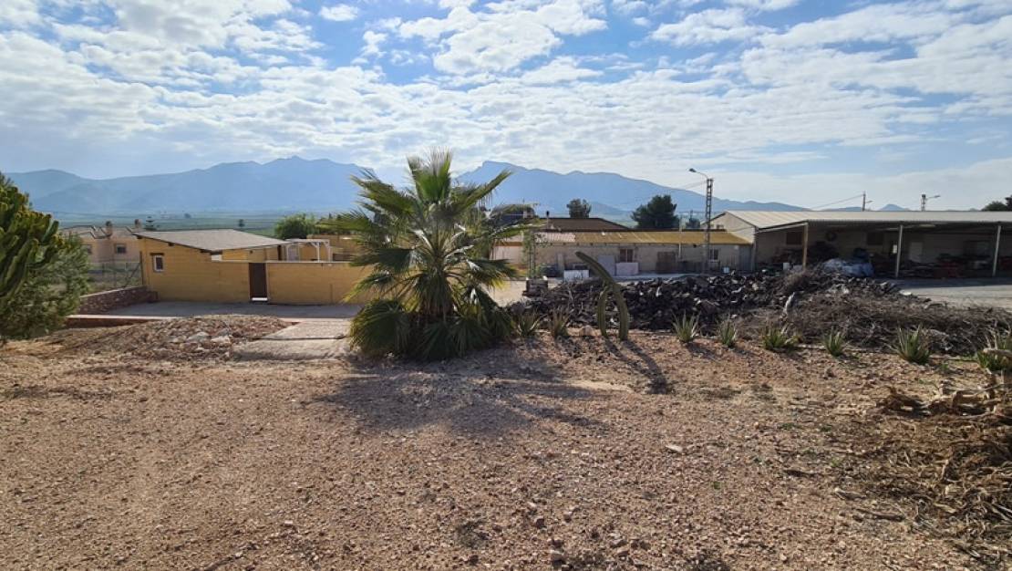 Venta - Chalet - Orihuela - La Matanza