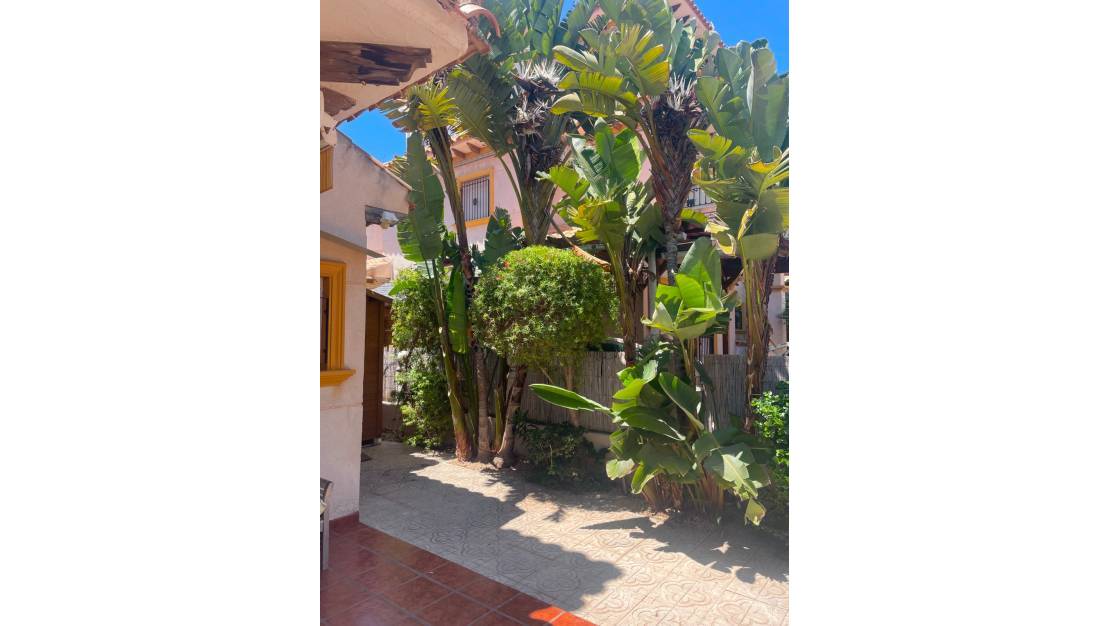 Venta - Chalet - Orihuela - La Regia