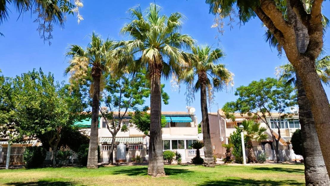 Venta - Chalet - Orihuela - La Regia