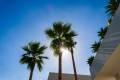 Venta - Chalet - Orihuela - Las Colinas Golf