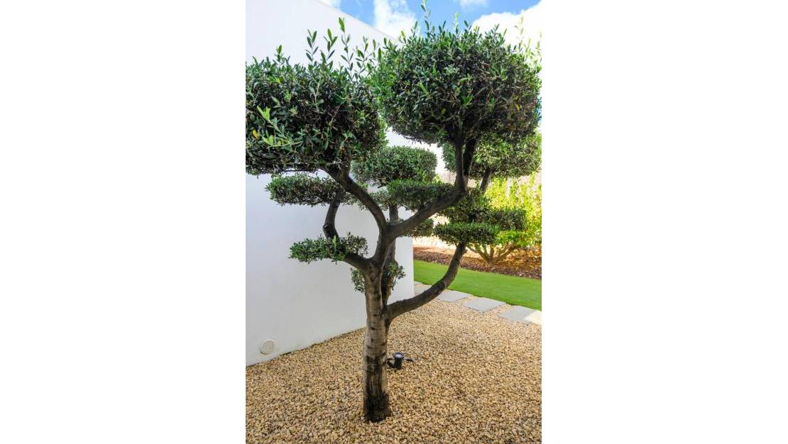 Venta - Chalet - Orihuela - Las Colinas Golf