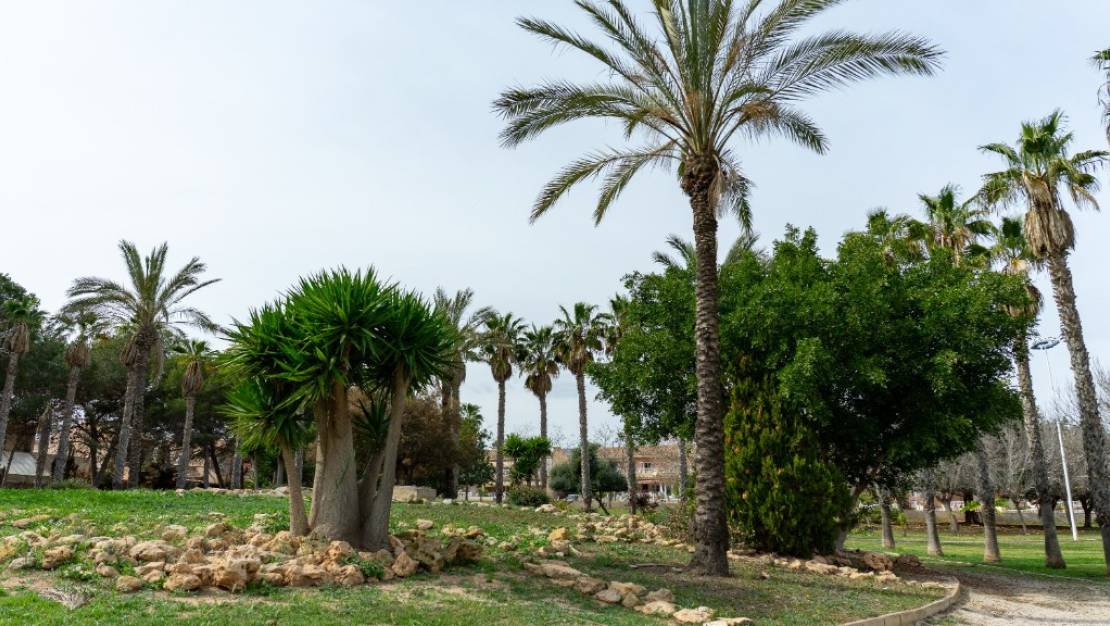 Venta - Chalet - Orihuela - Los Altos