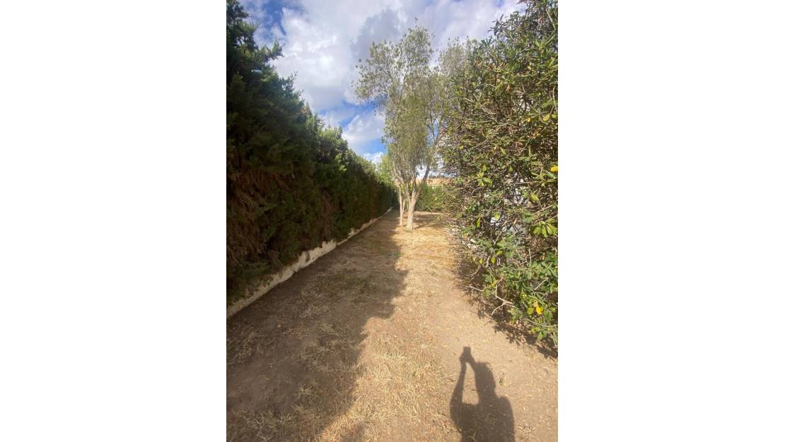 Venta - Chalet - Orihuela - Los Balcones