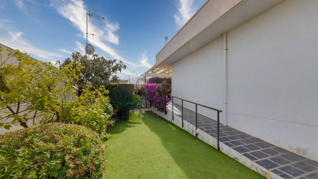 Venta - Chalet - Orihuela - Mil Palmeras