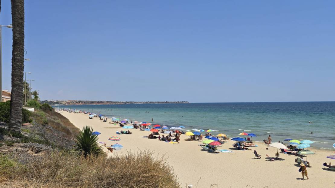 Venta - Chalet - Orihuela - Mil Palmeras