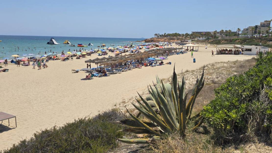 Venta - Chalet - Orihuela - Mil Palmeras