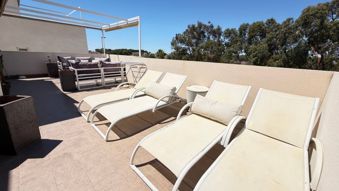 Venta - Chalet - Orihuela - Mil Palmeras