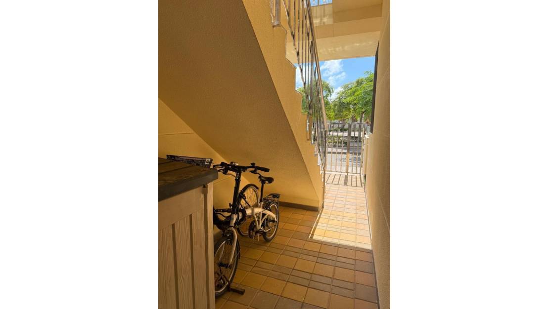 Venta - Chalet - Orihuela - Mil Palmeras