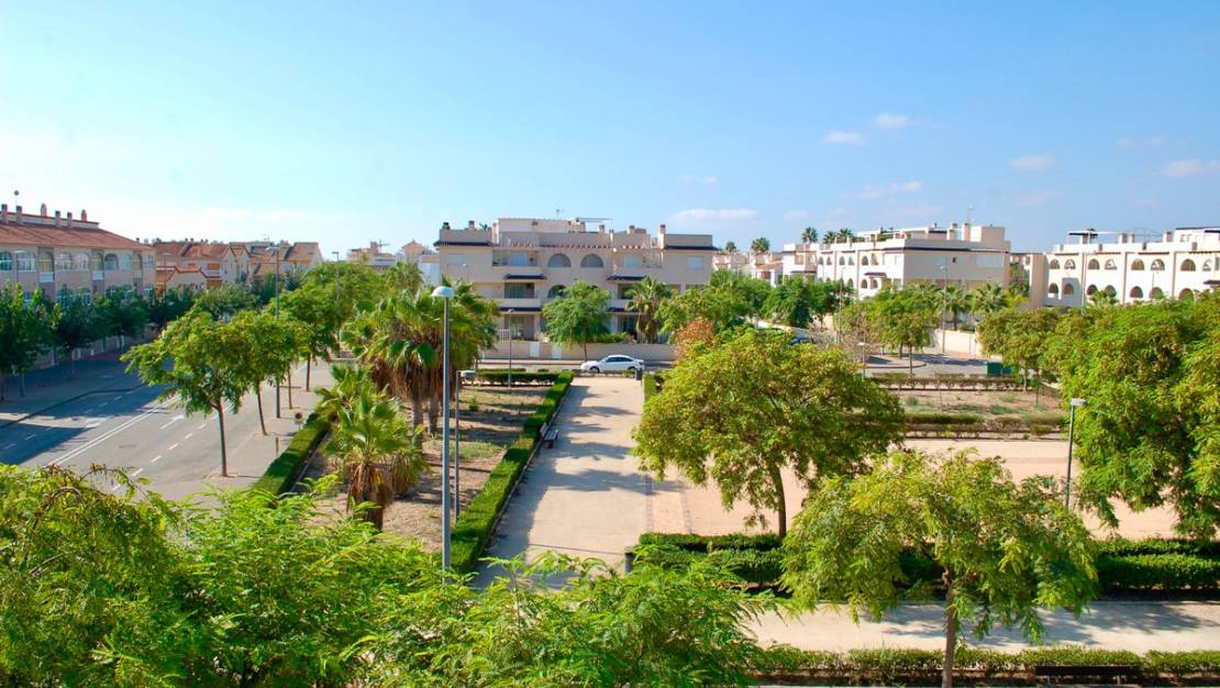 Venta - Chalet - Orihuela - Mil Palmeras