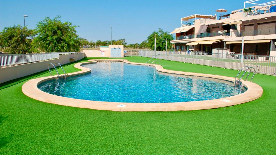 Venta - Chalet - Orihuela - Mil Palmeras