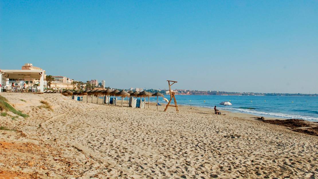 Venta - Chalet - Orihuela - Mil Palmeras