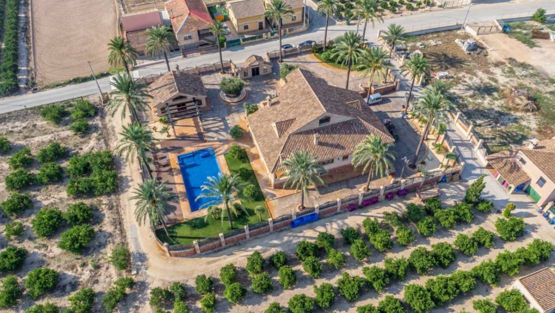 Venta - Chalet - Orihuela - Molins