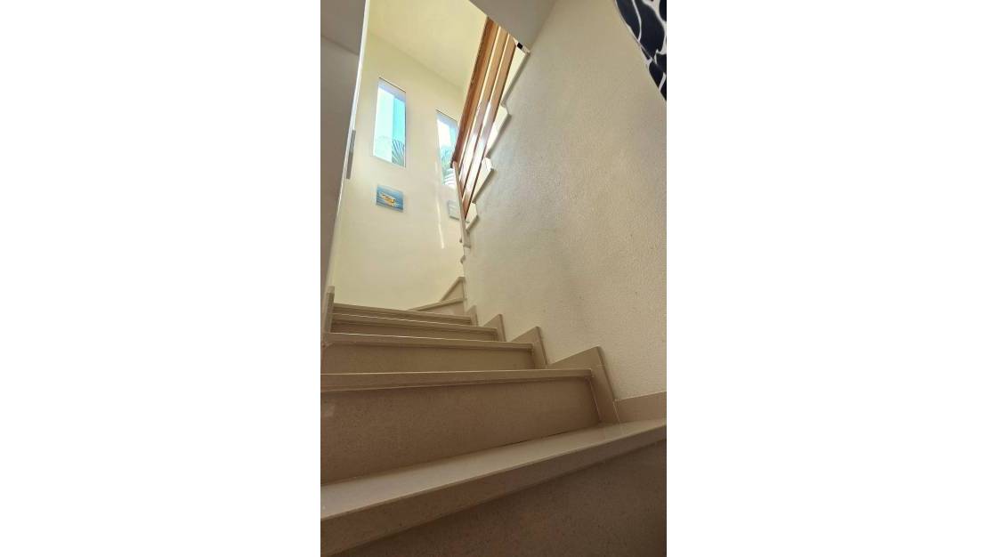 Venta - Chalet - Orihuela - Orihuela Centro