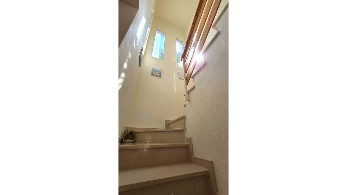 Venta - Chalet - Orihuela - Orihuela Centro