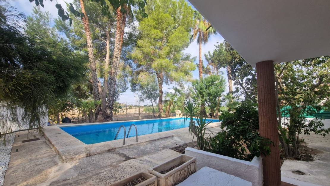 Venta - Chalet - Orihuela - Orihuela Centro
