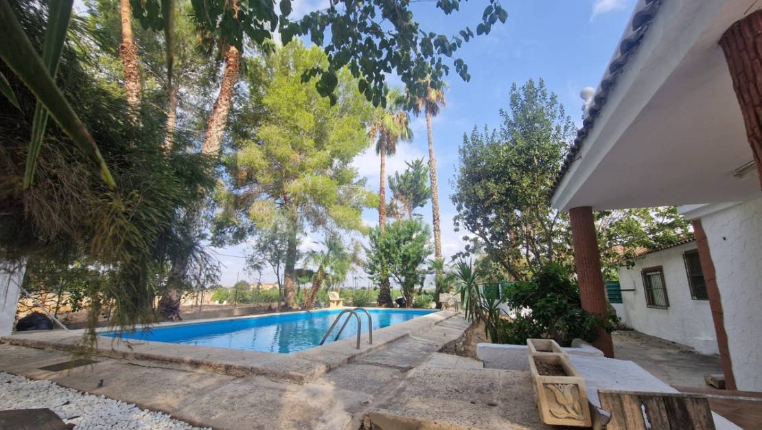 Venta - Chalet - Orihuela - Orihuela Centro