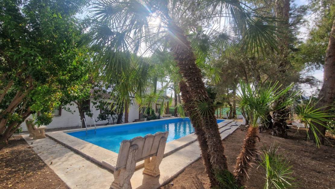 Venta - Chalet - Orihuela - Orihuela Centro