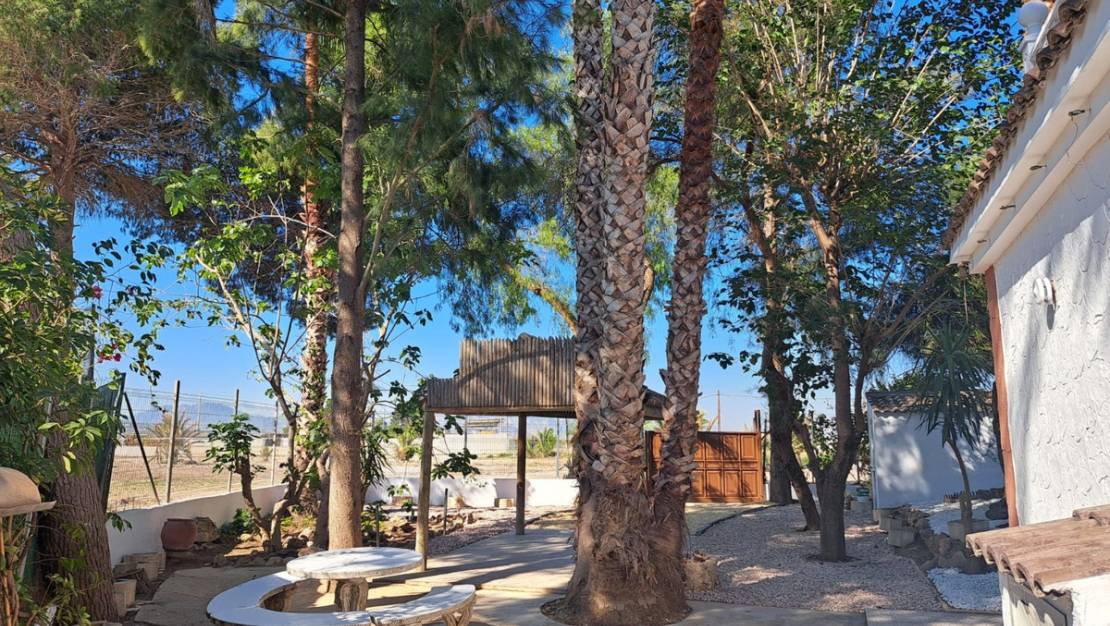 Venta - Chalet - Orihuela - Orihuela Centro