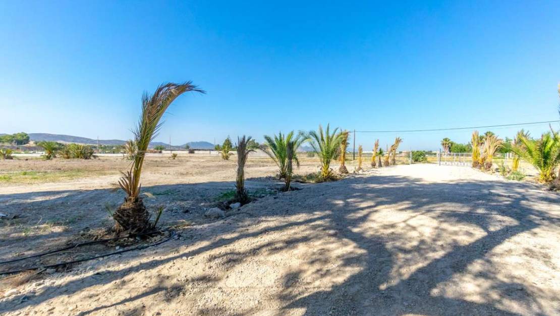 Venta - Chalet - Orihuela - Orihuela Centro