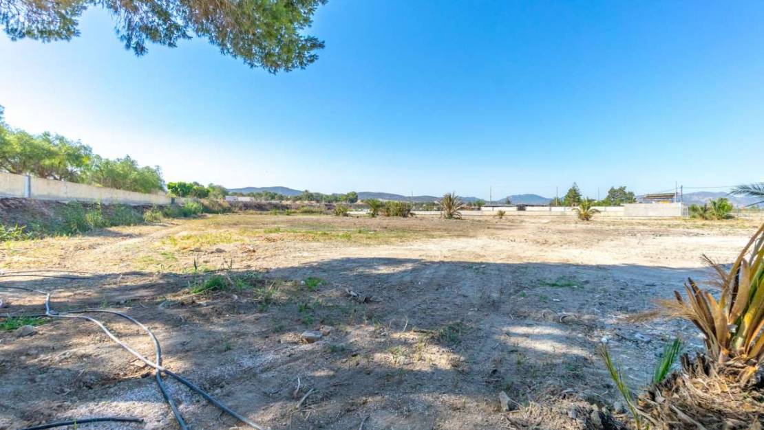 Venta - Chalet - Orihuela - Orihuela Centro