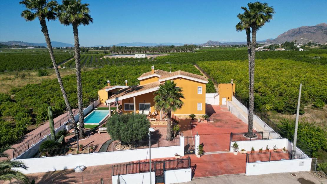 Venta - Chalet - Orihuela - Orihuela Centro