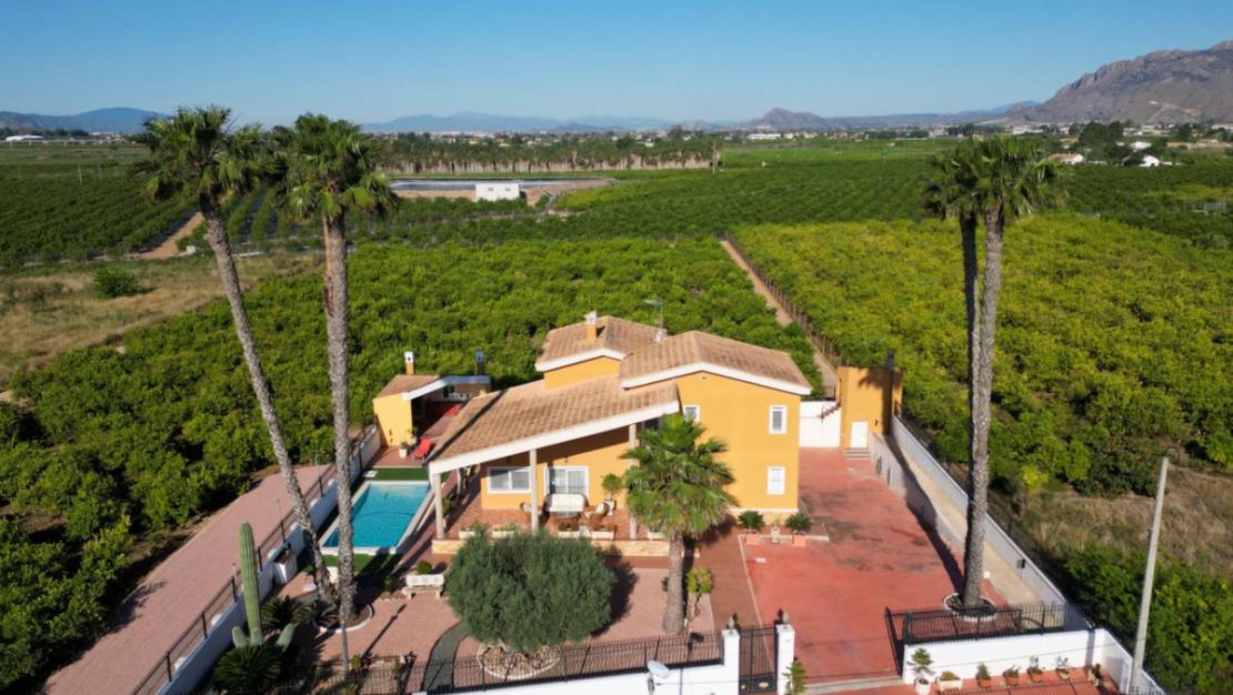 Venta - Chalet - Orihuela - Orihuela Centro