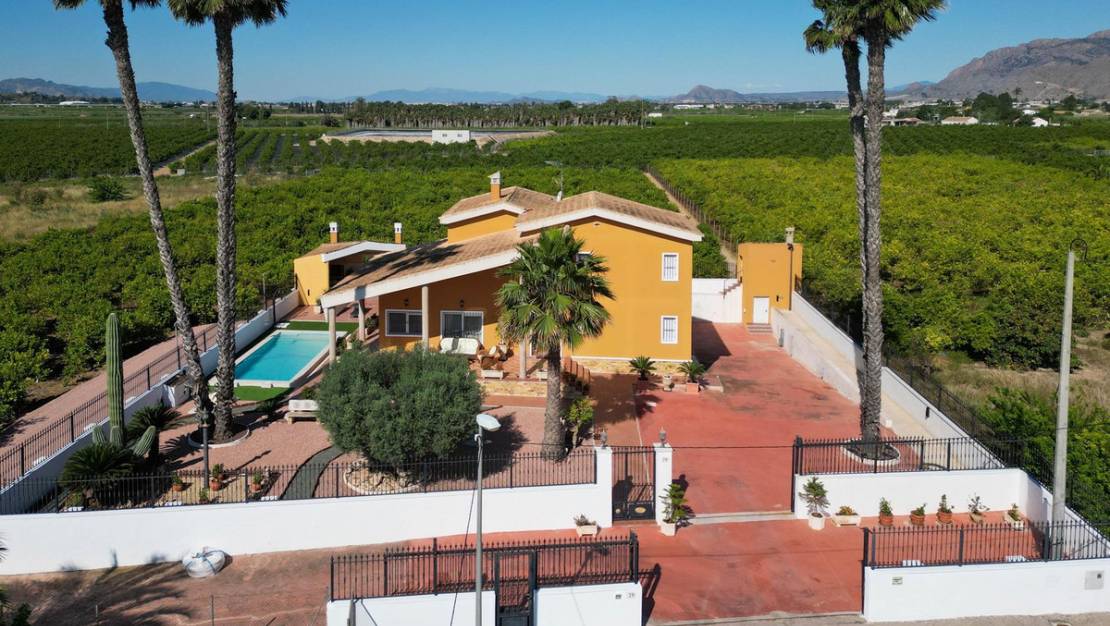 Venta - Chalet - Orihuela - Orihuela Centro