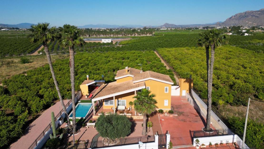 Venta - Chalet - Orihuela - Orihuela Centro