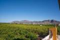 Venta - Chalet - Orihuela - Orihuela Centro