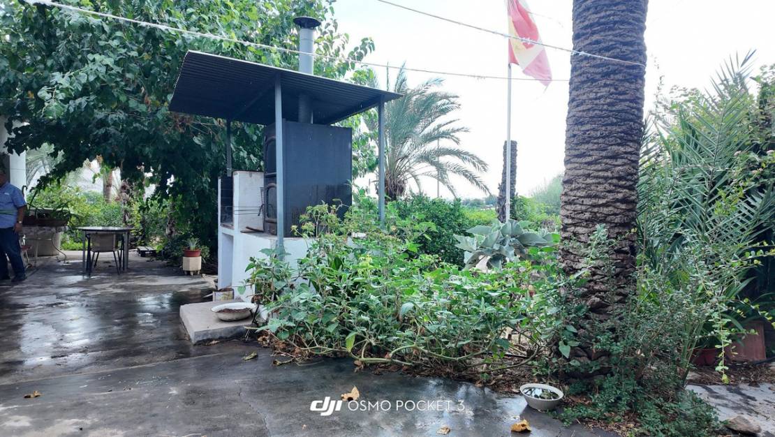 Venta - Chalet - Orihuela - Orihuela Centro