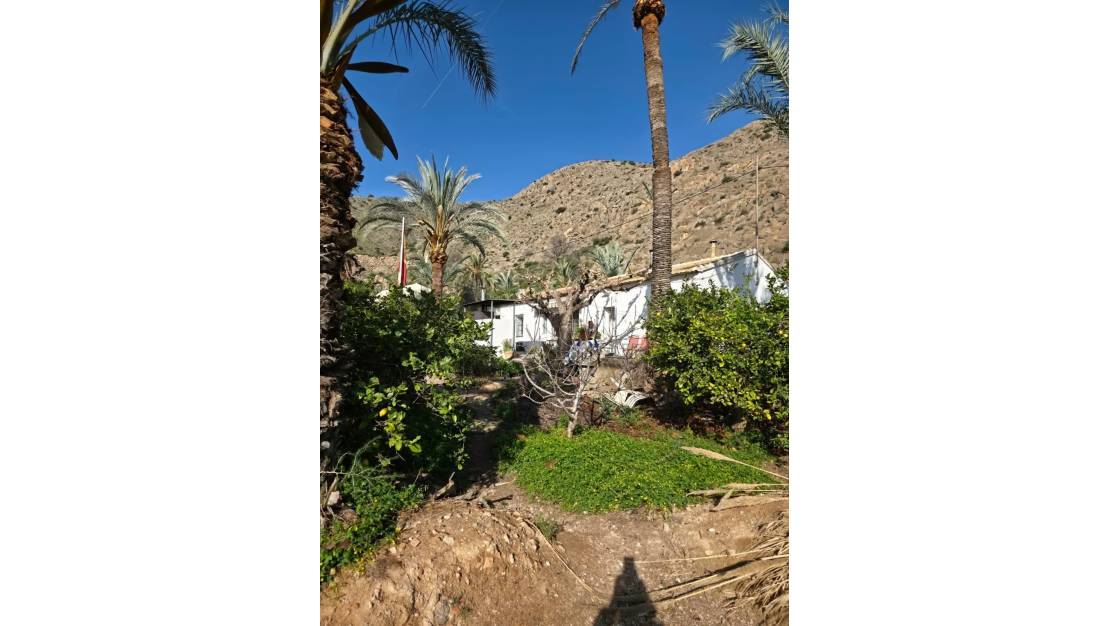 Venta - Chalet - Orihuela - Orihuela Centro