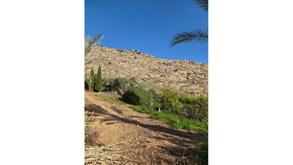Venta - Chalet - Orihuela - Orihuela Centro