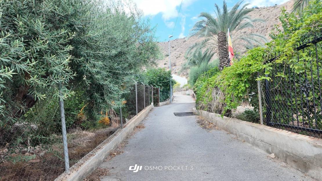 Venta - Chalet - Orihuela - Orihuela Centro