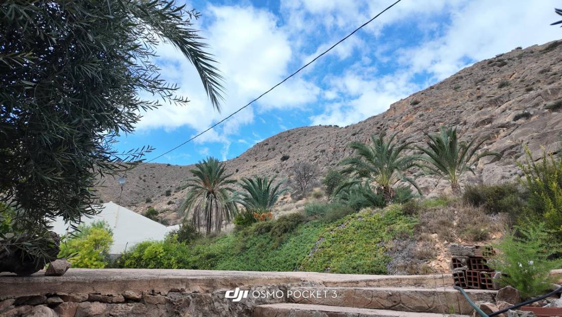 Venta - Chalet - Orihuela - Orihuela Centro
