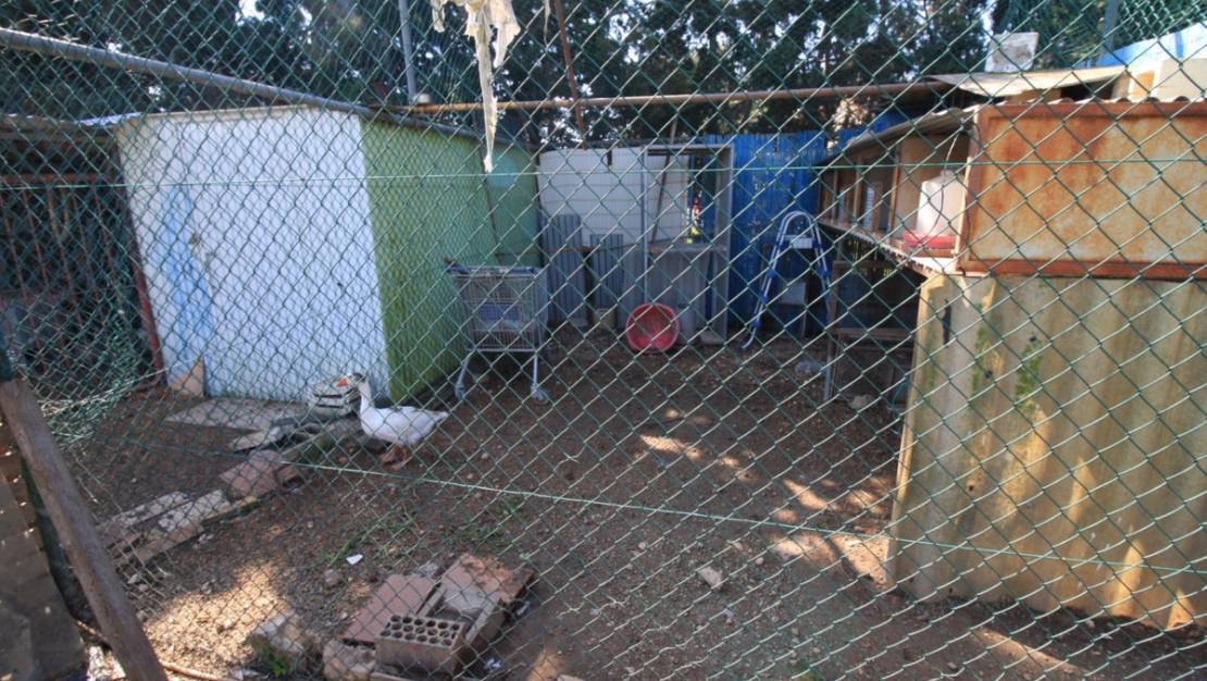 Venta - Chalet - Orihuela - Orihuela Costa