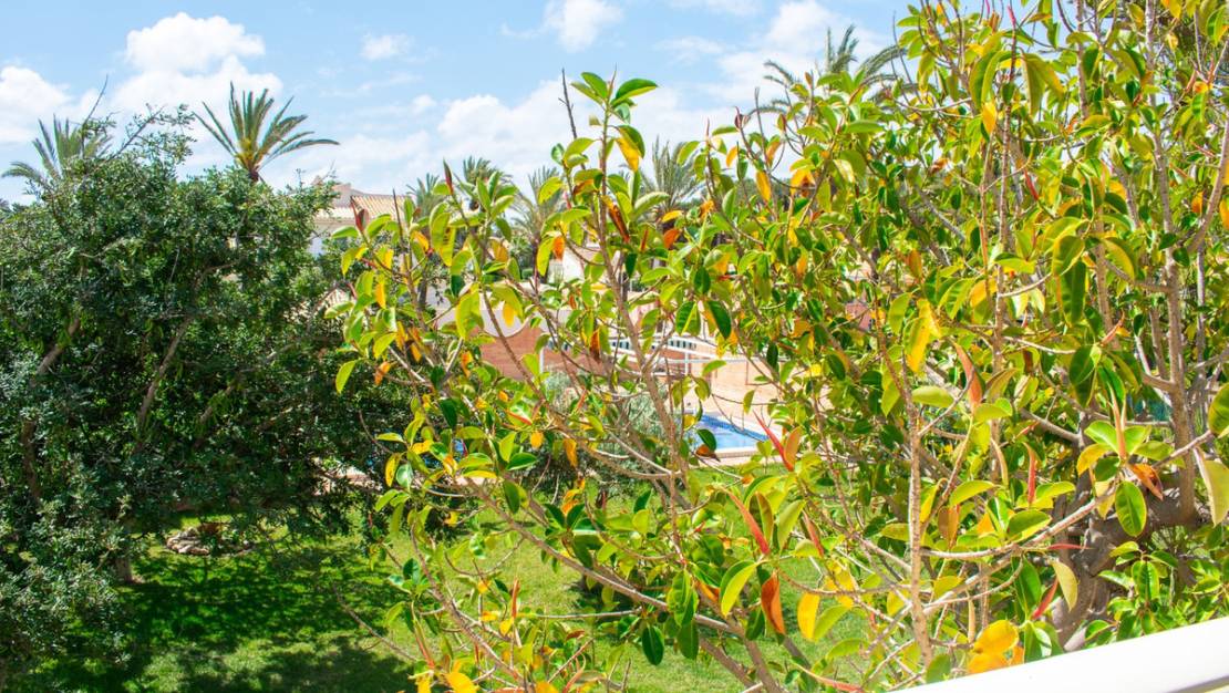 Venta - Chalet - Orihuela - Orihuela Costa