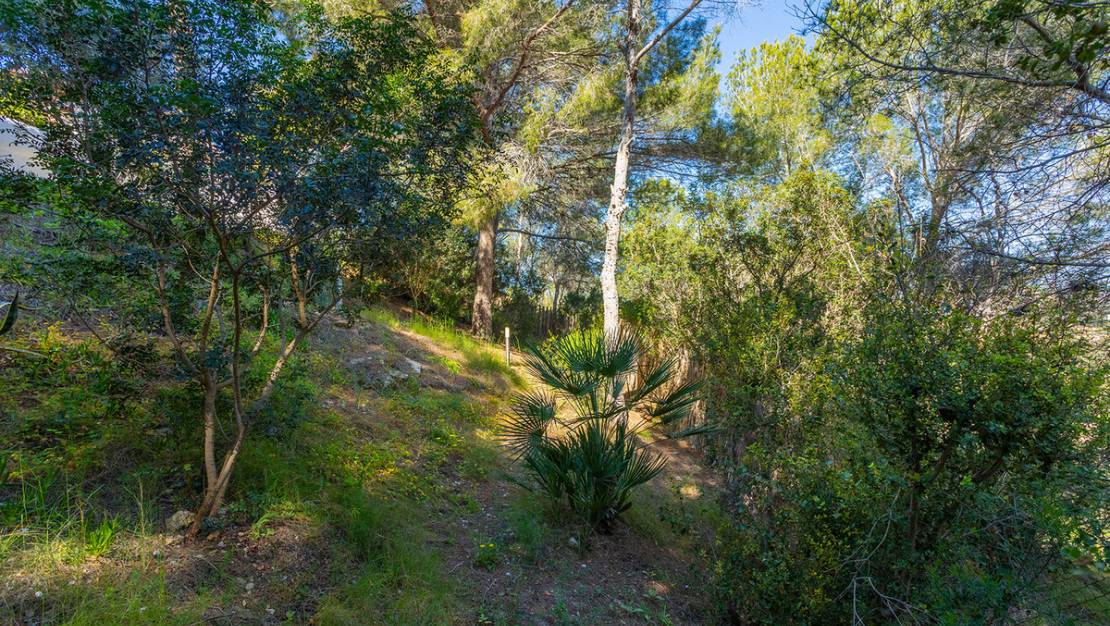 Venta - Chalet - Orihuela - Orihuela Costa