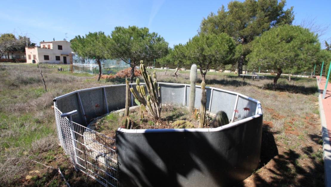 Venta - Chalet - Orihuela - Orihuela Costa