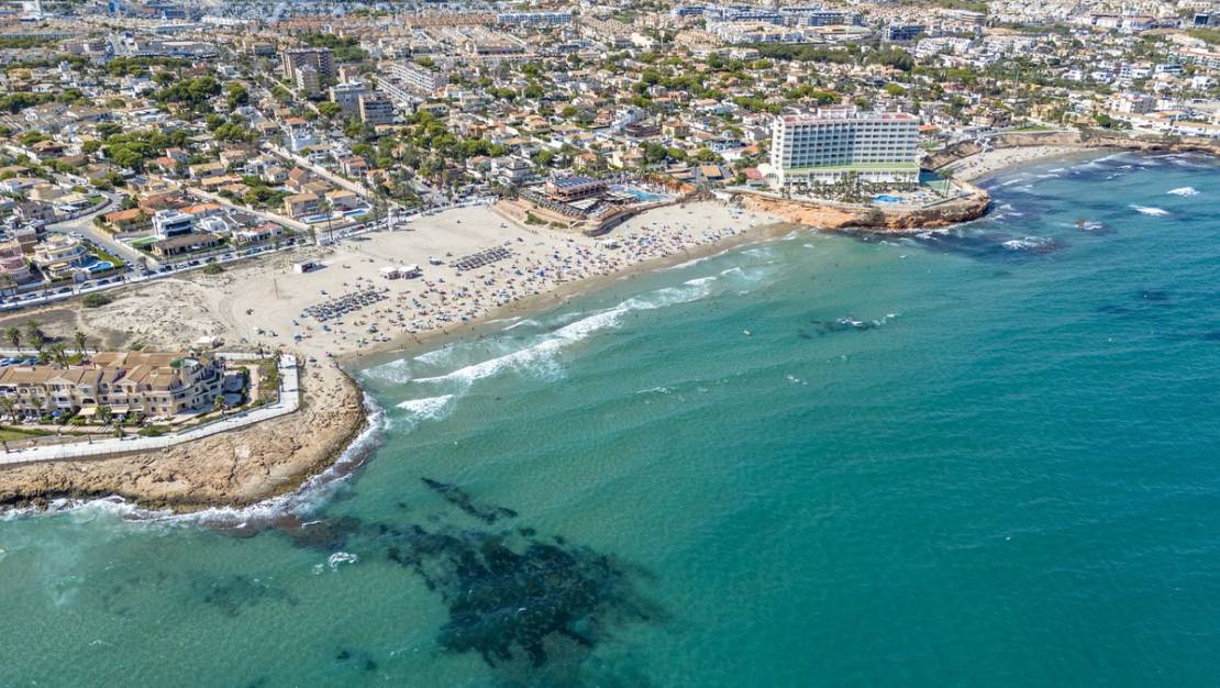 Venta - Chalet - Orihuela - Playa Flamenca