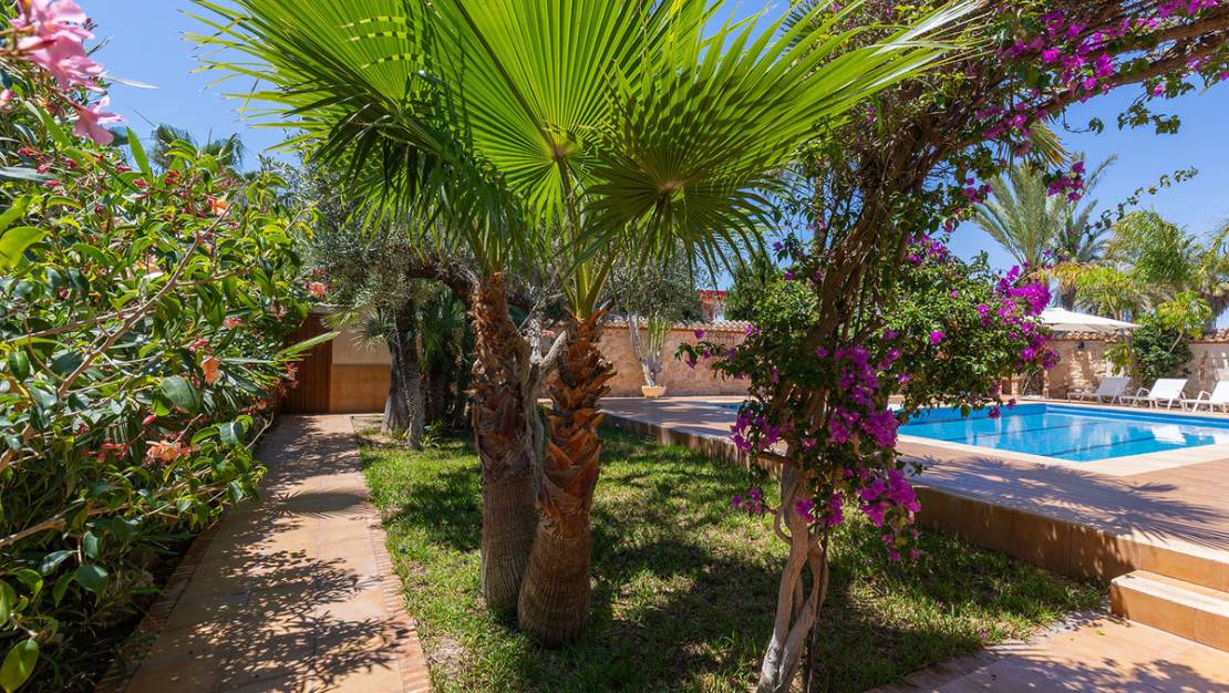 Venta - Chalet - Orihuela - Punta Prima