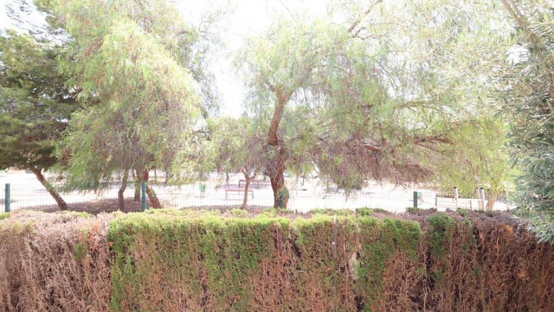 Venta - Chalet - Orihuela - Punta Prima