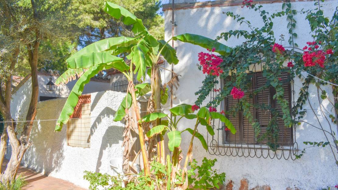 Venta - Chalet - Orihuela - Punta Prima