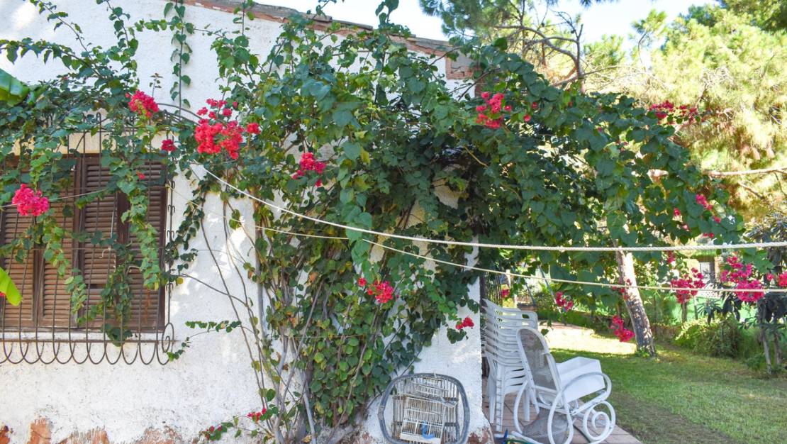 Venta - Chalet - Orihuela - Punta Prima