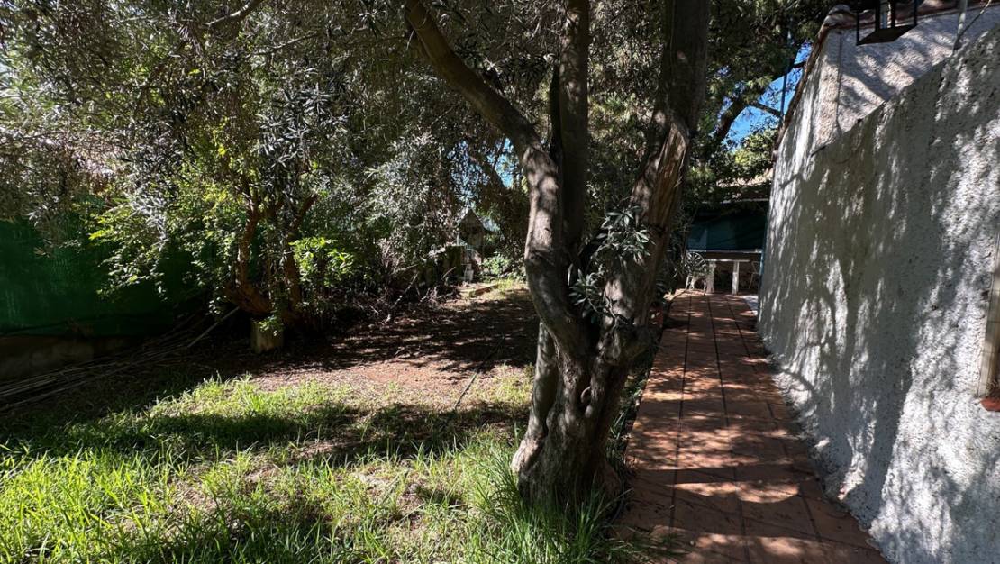 Venta - Chalet - Orihuela - Punta Prima