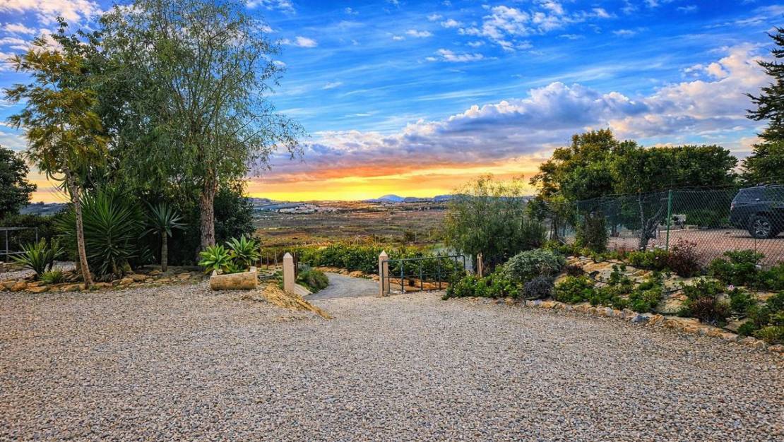 Venta - Chalet - Orihuela - Torremendo