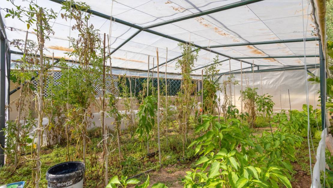 Venta - Chalet - Orihuela - Villamartin